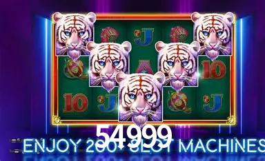 54999 Licença Curaçao Gaming